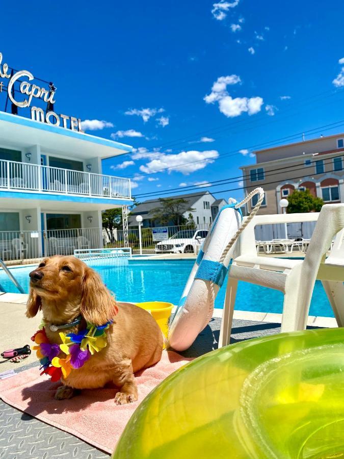 Isle Of Capri Motel North Wildwood Bagian luar foto